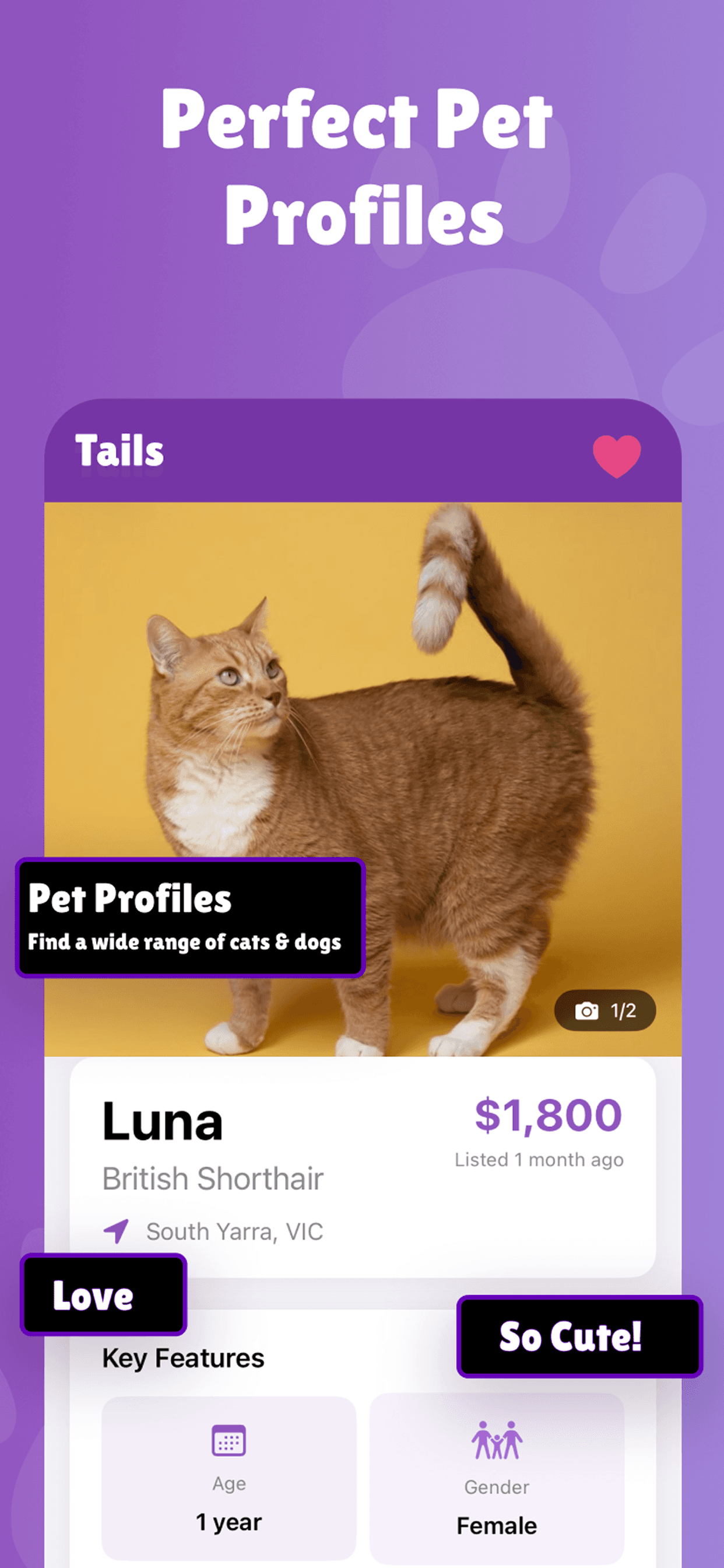 Perfect Pet Profiles